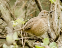 elg_6136-edit