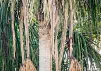 0566_LIZ_6090
