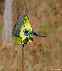 Blue Bird 2 - Leaving Home