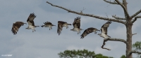 Take Off