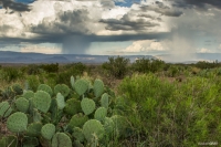 Storm at Panther Junction