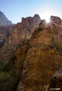Sunrise at Big Bend