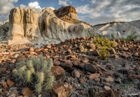 Big Bend Rock and Cactus