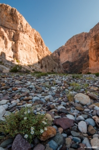Boquillas Canyon