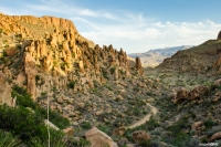 Grapevine Hills Trail