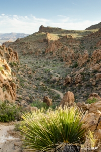 Grapevine Hills Trail