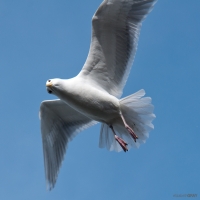 2010_march_18_dsc_6758-edit-2
