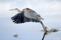 20110324-elg_0530-edit
