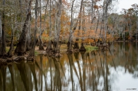 Rhines Lake Reflection