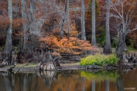 Rhines Lake