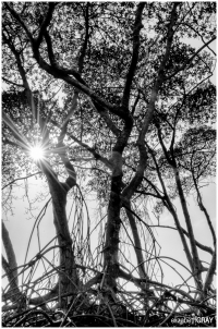 0226__ELG0487-Edit