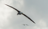 0348_LIZ_2572