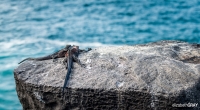 0352_LIZ_2587-Edit