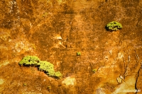 0434_LIZ_3624-Edit