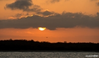 0436_LIZ_3690