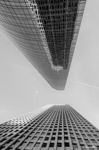 Looking Up