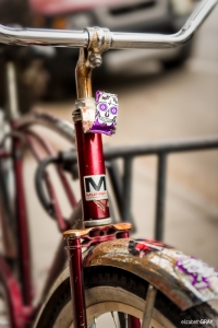 Skull Bike