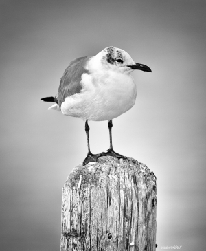 ELG_3338-Edit