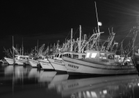 Night Marina