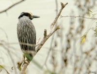 elg_5555-edit
