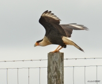 elg_9587-edit