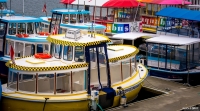 Bright Boats