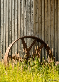 elg_1271-edit