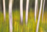 elg_1871-edit-edit